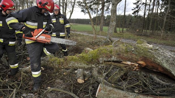 Usuwanie szkód po wichurze