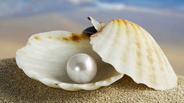 Perły znaleziono w regionie plaż południowej Portugalii.