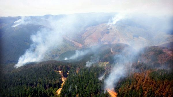 Spłonęło już około 70 tysięcy hektarów lasów i łąk