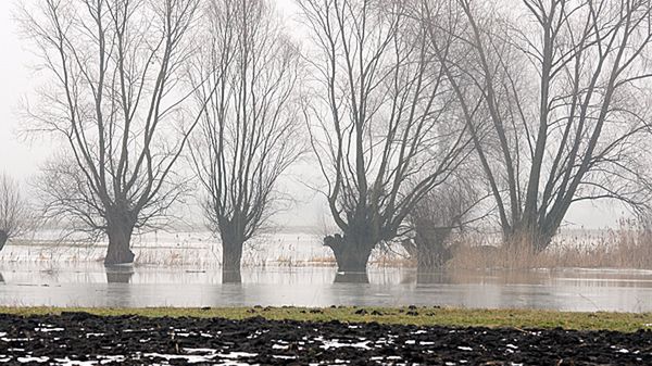 W niektórych miejscach tworzą się rozlewiska