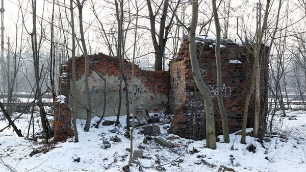 Ciało dziecka znaleziono w zrujnowanym budynku w kompleksie parkowym