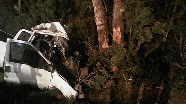 Furgonetka zjechała z drogi i uderzyła w drzewa