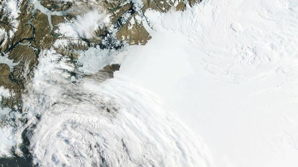 Góra lodowa oderwała się od lodowca Petermann na Grenlandii