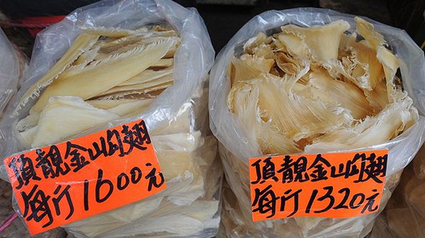 Płetwy rekina przygotowane do sprzedaży