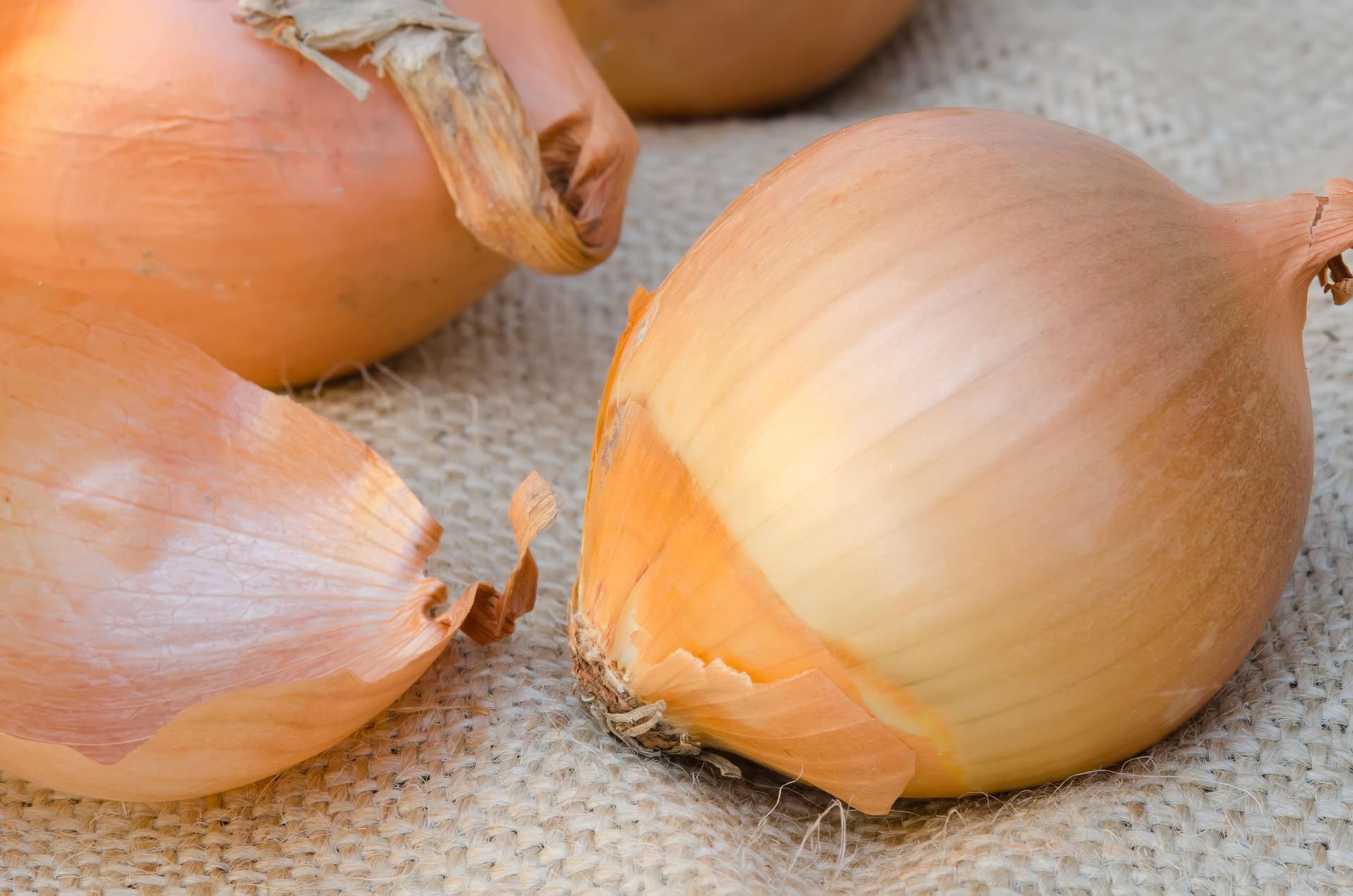 Sfermentowana cebula wzmacnia odporność