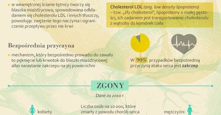 Stan jajników wskazuje na kondycję serca