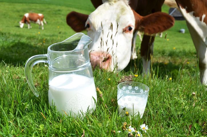 Organiczne mleko i mięso ma więcej kwasów omega-3