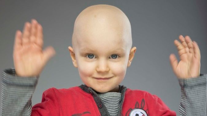 Iwo i rak – historia pewnego łobuza