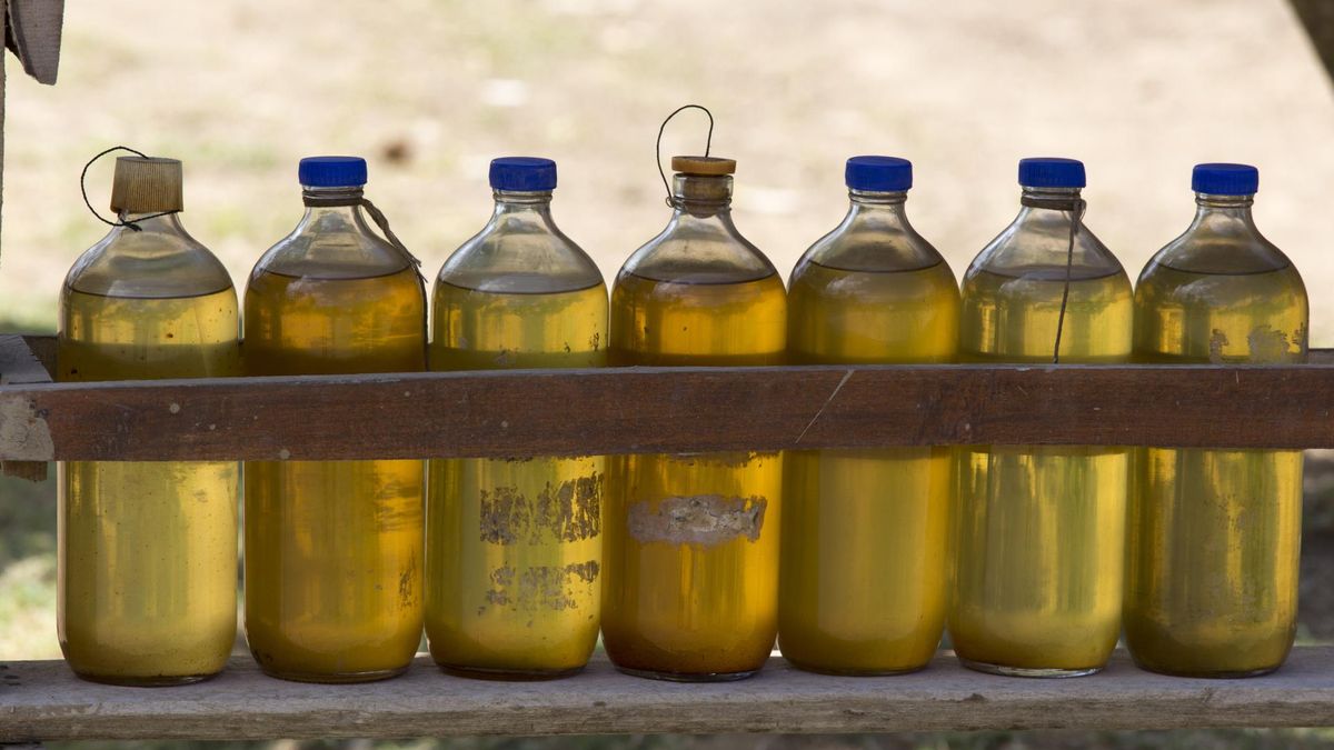 Olej lniany ma wiele zdrowotnych właściwości