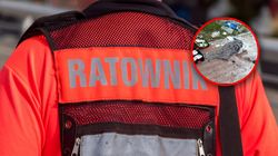 Płonął na jego oczach. Piszą o tym, co zrobił ratownik