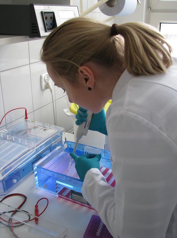 Centralne Laboratorium Głównego Inspektoratu Ochrony Roślin i Nasiennictwa