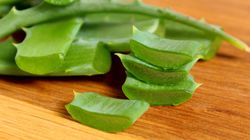 Jak działa dieta aloesowa? Składniki, przebieg i możliwe rezultaty