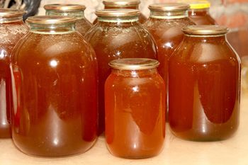 Starożytna mikstura sposobem Greków na zdrowie. Wystarczy jedna łyżka dziennie