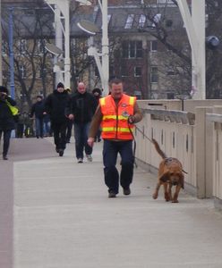 Czy psy niemieckiej policji wytropiły ślady Ewy Tylman?