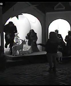 Próbowali ukraść Jezusa i koziołki z szopki bożonarodzeniowej na poznańskim rynku