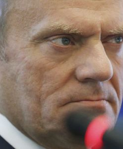 Politycy PO po słowach Tuska: w Platformie nie ma nerwówki, tworzymy alternatywę dla PiS