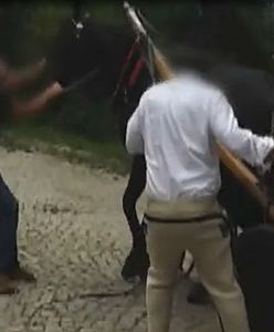 Badania koni z Morskiego Oka. Kto się dopuszcza nieprawidłowości?