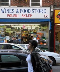 Najnowsze dane: Polska wyprzedziła Indie jako najczęstszy kraj pochodzenia imigrantów w Wielkiej Brytanii