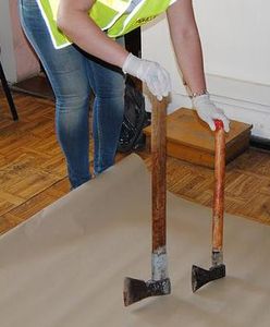 Mieszkaniec Trzemeszna zabił zbłąkaną sarnę siekierą. Grozi mu 5 lat więzienia