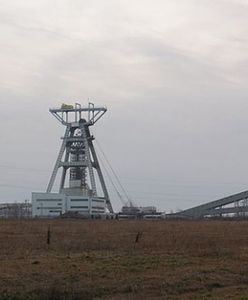 Silny wstrząs ziemi w Małopolsce. To efekt prac kopalni Ziemowit