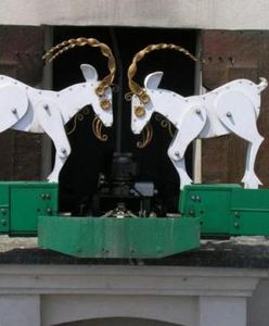 Czy koziołki w Poznaniu powinny się trykać częściej niż tylko w południe?