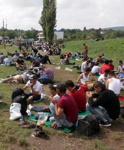 Jak Polska odróżnia uchodźców od imigrantów ekonomicznych?