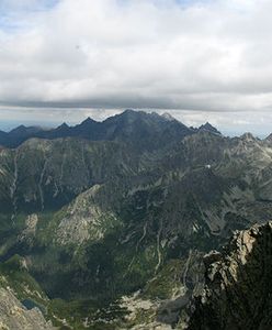 Ktoś porzucił psa w Tatrach. Ratownicy nie pomogli, turyści sprowadzili go sami