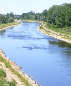 Poziom Warty w Poznaniu najniższy od 7 lat i ciągle spada