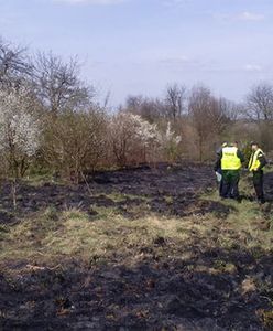 Śmiertelna ofiara wypalania trawy na Śląsku