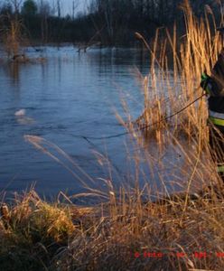 Ze stawu w Rozstępniewie wyłowiono samochód ze zwłokami poszukiwanego