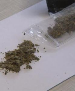 Fala zatruć dopalaczami w Trzciance