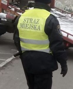 Strażnicy miejscy z Poznania podejrzani o branie łapówek