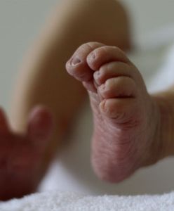 Zgierz: noworodek zakopany kilkadziesiąt metrów od domu. Urodził się żywy