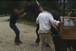 Badania koni z Morskiego Oka. Kto się dopuszcza nieprawidłowości?