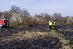 Śmiertelna ofiara wypalania trawy na Śląsku