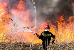 Plaga pożarów w Małopolsce. Ruszył niechlubny sezon wypalania traw