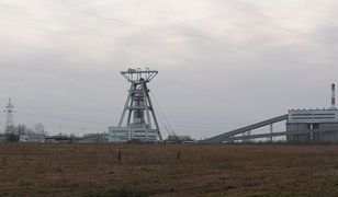 Kolejne wstrząsy w Małopolsce. Nie ma dnia, by ziemia nie drżała