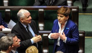 Absurdalne pomysły i amatorszczyzna PiS-u. Jacek Żakowski: jestem w raju