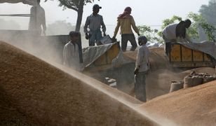 Plaga samobójstw wśród rolników w Indiach. Od stu lat państwo nie potrafi zaradzić masowym tragediom