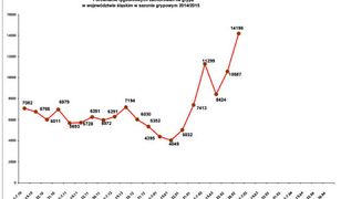 "Świńska grypa" w Katowicach. Epidemia grypy na Śląsku coraz bliżej?