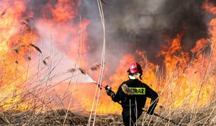 Ruszył sezon na wypalanie traw. Strażacy mają ręce pełne roboty