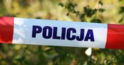 W stawku na poznańskim Golęcinie znaleziono zwłoki