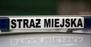 "Pogromca fotoradarów" ostrzega kierowców przed ofensywą straży miejskiej