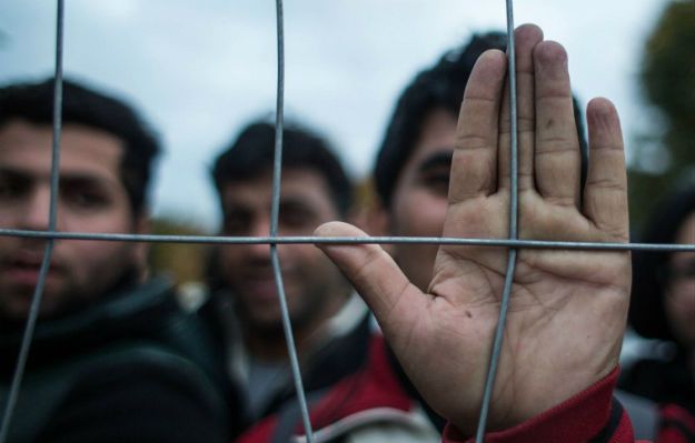 Niemcy: rozbito siatkę zajmującą się przemytem migrantów