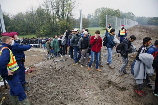 Tysiąc migrantów na granicy chorwacko-słoweńskiej
