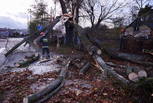 1450 interwencji strażaków w związku z wichurami