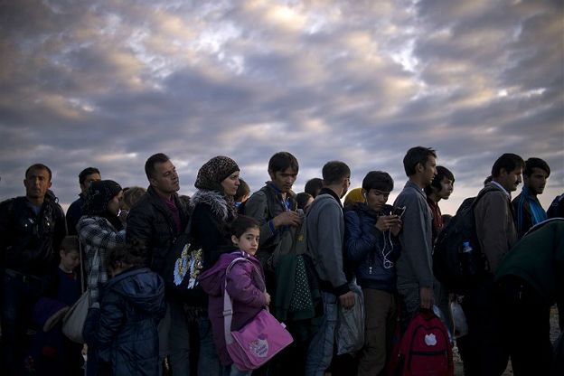 Imigranci w Europie. Coraz więcej cudzoziemców stara się w Polsce o azyl