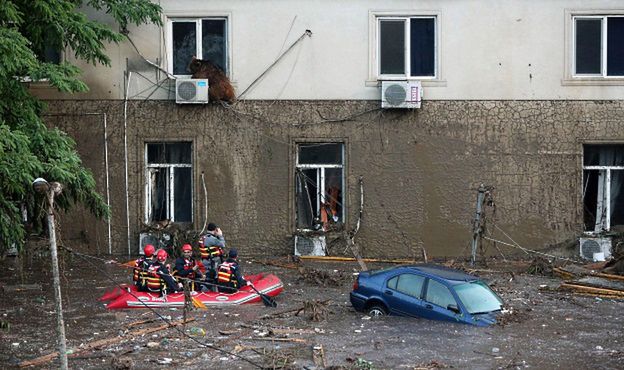 Tygrys z zalanego przez powódź zoo zabił mężczyznę w Tbilisi