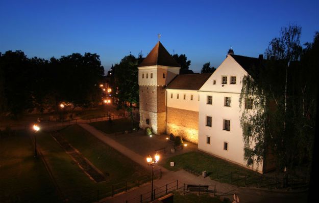 Najważniejsze odkrycia archeologiczne na wystawie w Gliwicach