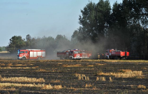 Groźne pożary na terenie Mazowsza. Policja zatrzymała 5 osób